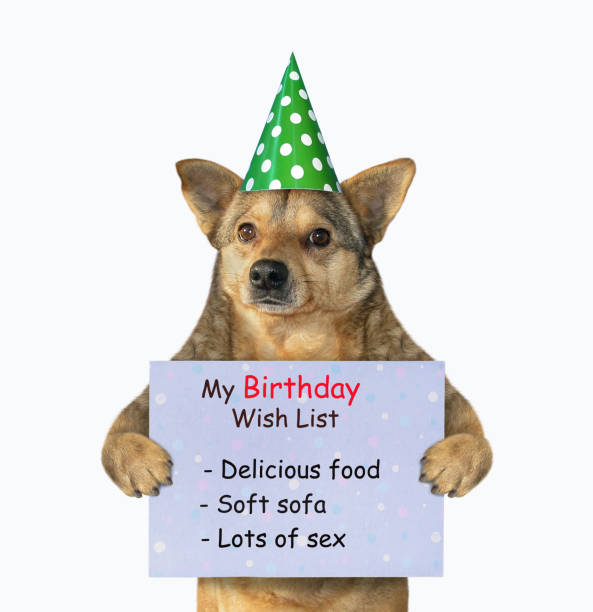 istock Dog holds birthday wish list 1266820655