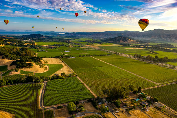 montgolfière au-dessus de napa valley, ca - aerial view mid air farm field photos et images de collection