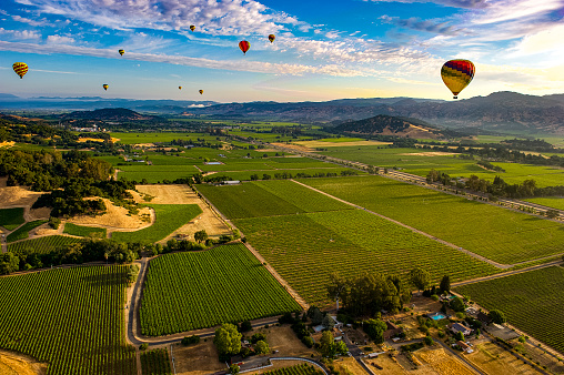 Hot Air Ballooning over Napa Valley, CA