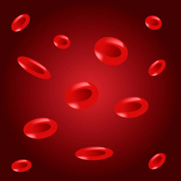 ilustrações de stock, clip art, desenhos animados e ícones de erythrocytes, red blood cells, medical vector illustration - blood dna animal vein vascular