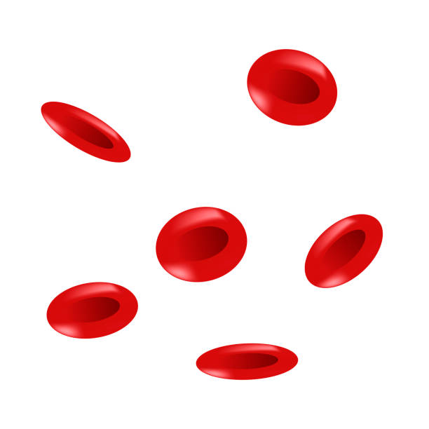 ilustrações de stock, clip art, desenhos animados e ícones de erythrocytes, red blood cells, medical vector illustration - blood dna animal vein vascular