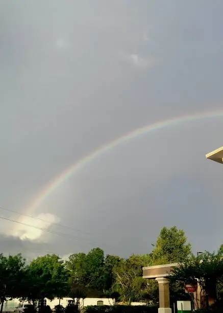 Beautiful rainbow after a storm