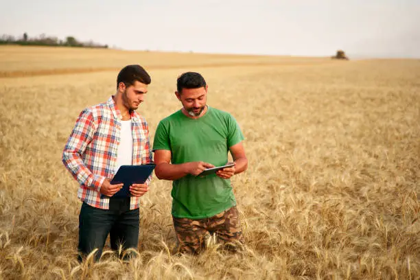 Photo of Two farmers stand in wheat stubble field, discuss harvest, crops. Senior agronomist with touch tablet pc teaches young coworker. Innovative tech. Precision farming with online data management soft