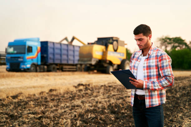 Farmer controls loading wheat from harvester to grain truck. Driver holds clipboard, keeps notes, cargo counting. Forwarder fills in consignment waybills. Agricultural commodities logistics, export. el agricultor controla la carga de trigo desde la cosechadora hasta el camión de grano. conductor sosteniendo portapapeles, manteniendo notas, contando carga. el reenviador rellena las facturas de consignación. logística de productos agrícolas