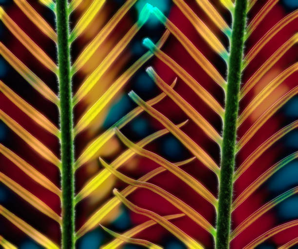 istock palm leaves on a colored background 1266827102