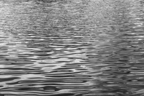 istock Blurred abstracted sun flare, sunset light on water surface 1266832068