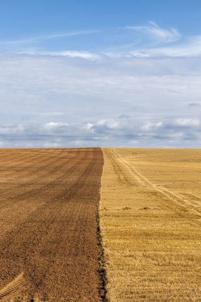 istock an agricultural field 1266832559