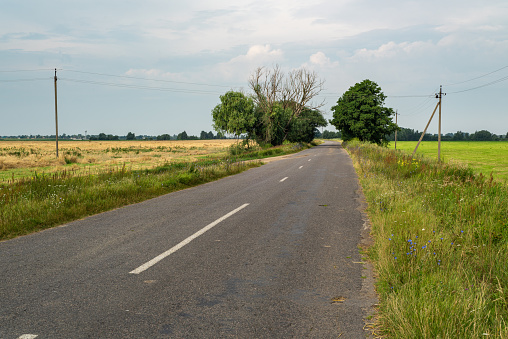 Rural summer landscape. An old asphalt road in a rye field.