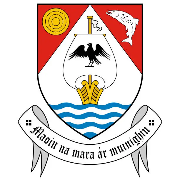 Vector illustration of Coat of arms of City Arklow of Ireland