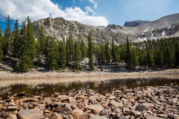 istock Landscape View of Great Basin National Park 1266836640