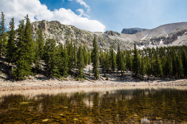istock Landscape View of Great Basin National Park 1266837066