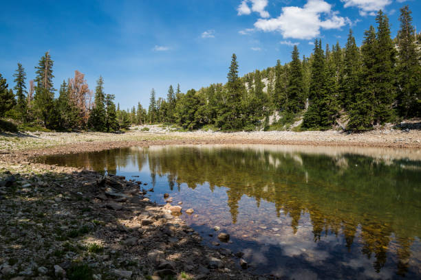 istock Landscape View of Great Basin National Park 1266837609