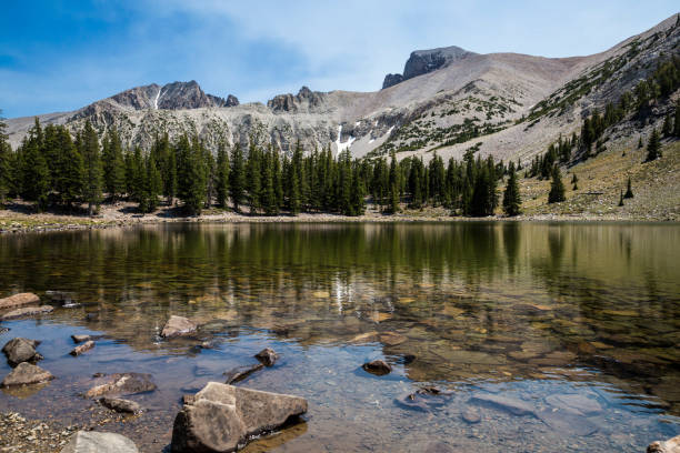 istock Landscape View of Great Basin National Park 1266837620