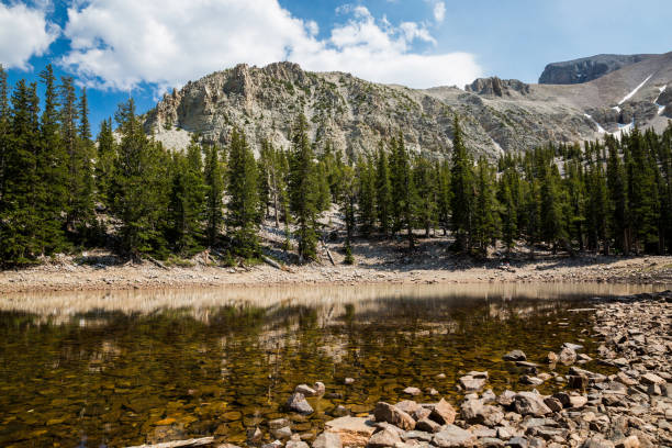 istock Landscape View of Great Basin National Park 1266837642