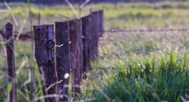 istock wooden fence and wire for cattle 1266839239