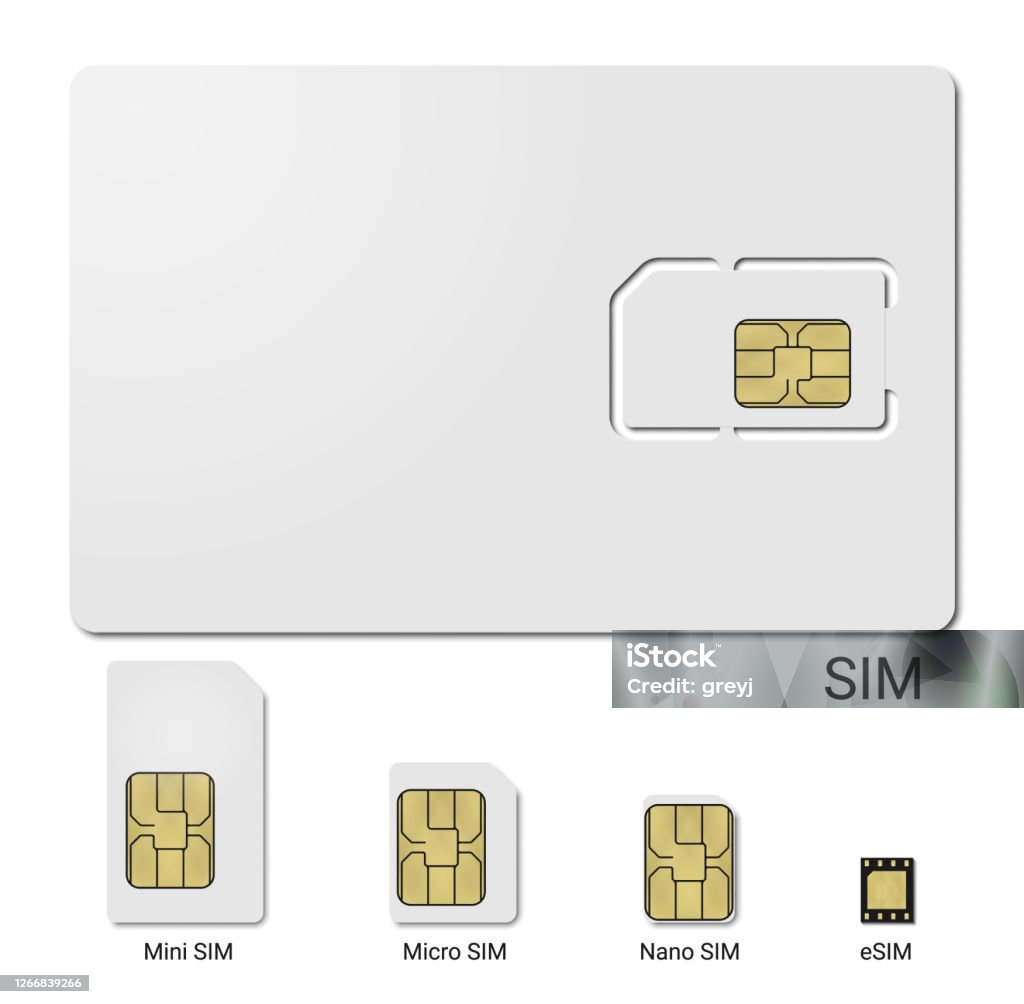 Form Factor Evolution Sim Card Form Factor Evolution Vector Realistic Illustration Stock ...