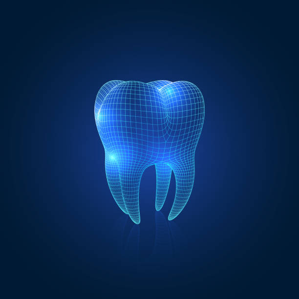 1,600+ Mesh Tooth Stock Photos, Pictures & Royalty-Free Images - iStock