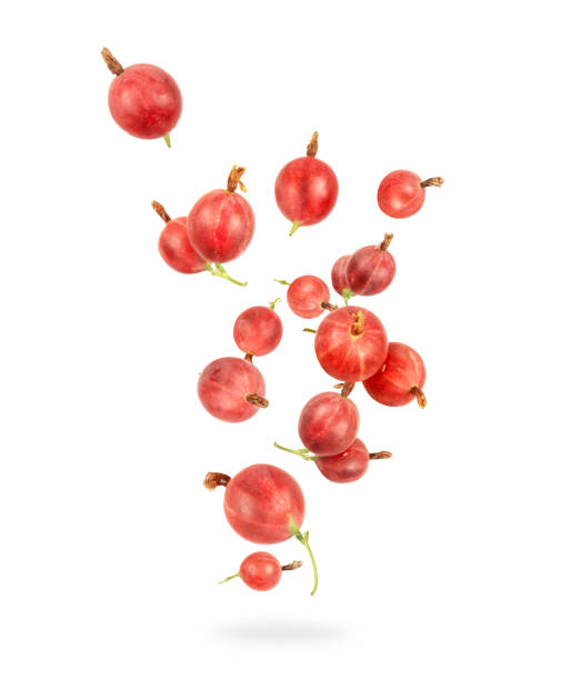 istock Ripe gooseberries in the air, isolated on a white background 1266840443