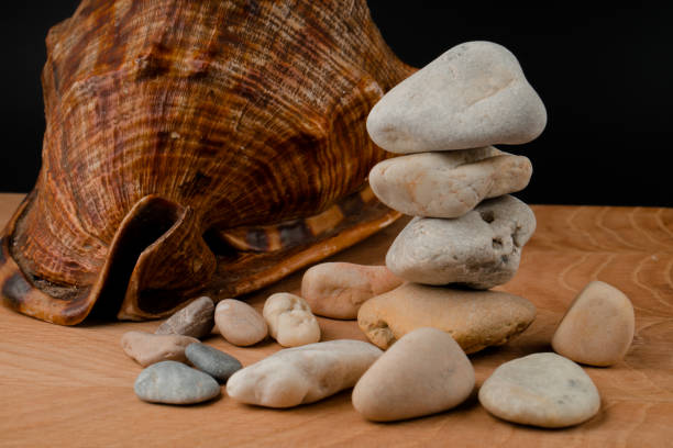 istock Seashells and stones, on a blackboard on a black background 1266840615