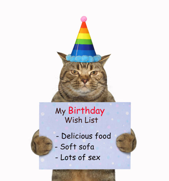 istock Cat holds birthday wish list 1266841750