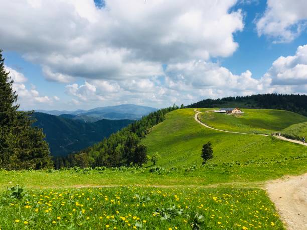 istock Green meadow in the austrian Schneeberg 1266845803