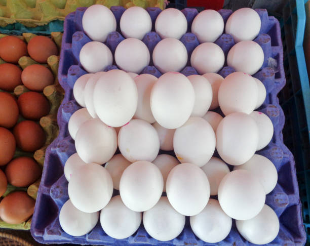 istock White Egg in the carton 1266845861