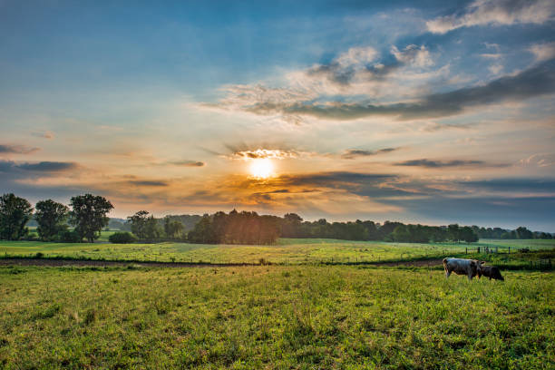 istock Rural Landscape at Sunrise 1266847924