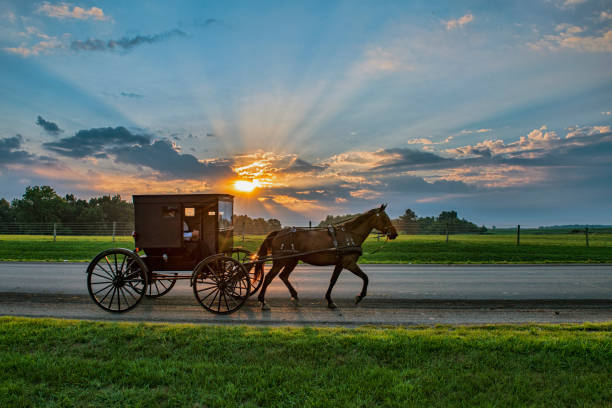 amish buggy et sunbeams à l’aube - traction animale photos et images de collection