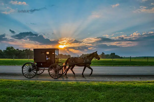 Photo of Amish Buggy and Sunbeams at Daybreak