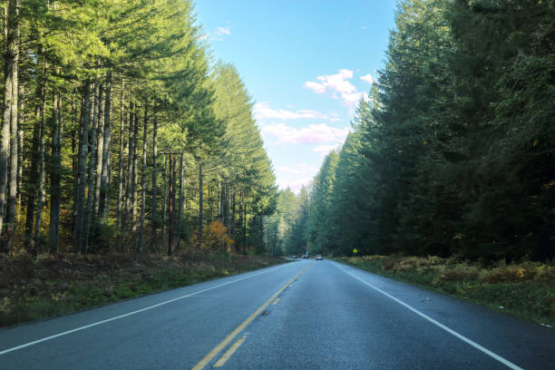 On the way to Mt. Rainier after a refreshing rainfall