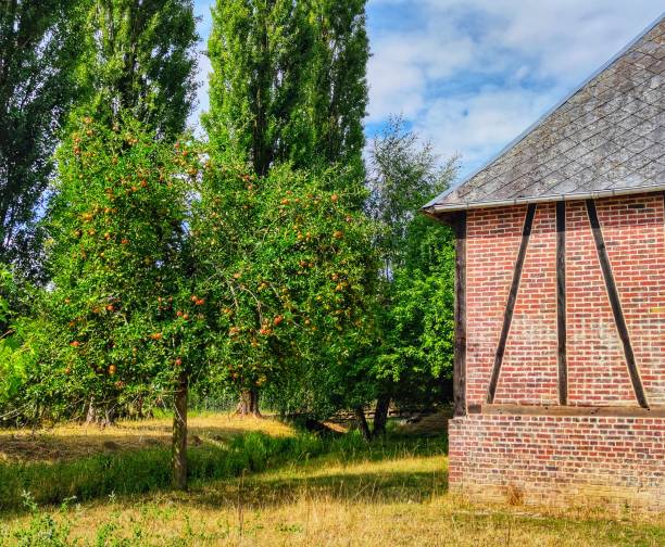 Schwerin, Germany - October 15, 2017: Farmhouses with a thatched roof on a large farm