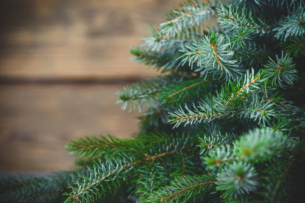 istock Christmas tree on wooden background 1266852316