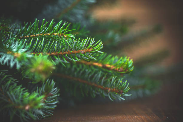 istock Christmas tree on wooden background 1266852347