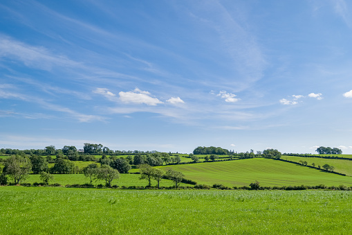 Ayrshire Fields behind the conservation village of Symington in South Ayrshire with green fields and trees at the centre of Robert Burns