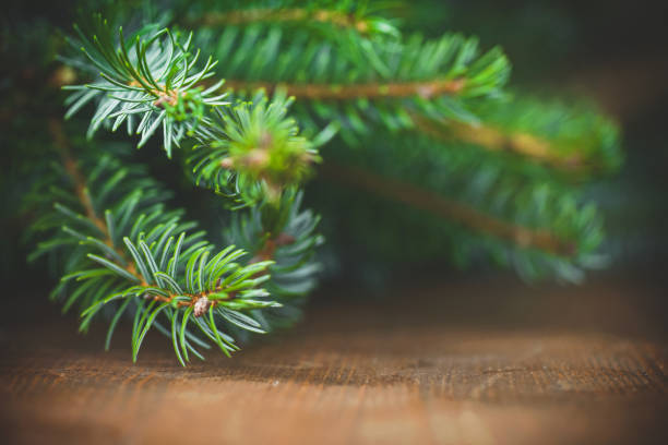 istock Christmas tree on wooden background 1266852376
