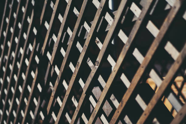 Side view of a wooden fence trellis battens outdoors with shallow depth of field and selective focus in the middle of the image, sunny evening