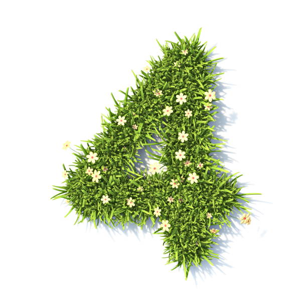50 Fotos Bilder und lizenzfreie Bilder zu Grass Number Number 4 Three 50 Fotos Bilder und lizenzfreie Bilder zu Grass Number Number 4 Three