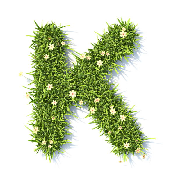 grasschrift buchstabe k 3d - letter k alphabet three dimensional shape green stock-fotos und bilder