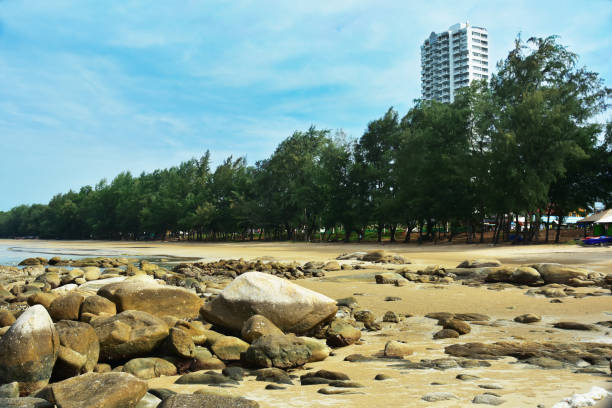 istock On the seashore there is a big rock Many 1266853790