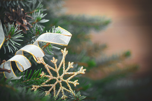 christmas trees and christmas decorations