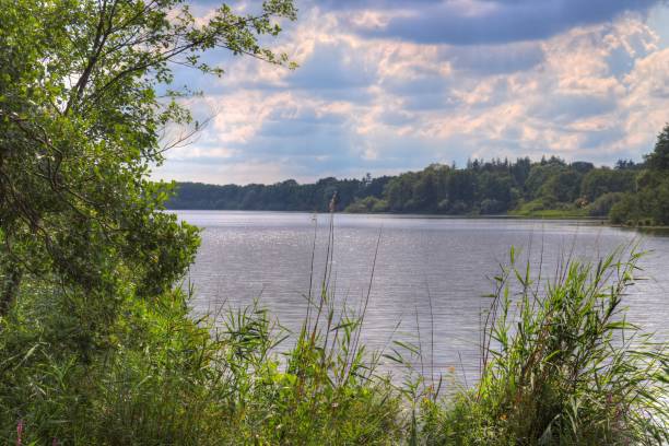 istock Beautiful landscape at a lake with a reflective water surface 1266860552