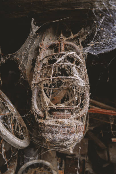 istock oil lamp and spider 1266860761