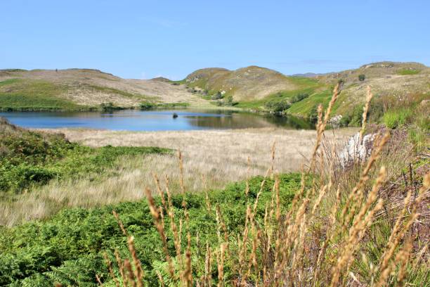 istock Bull Loch, Isle of Bute 1266866821