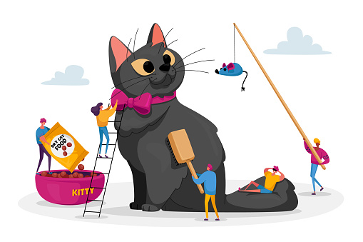 Care Of Animals People Spending Time With Pet Tiny Male And Female  Characters On Ladders Care Of Huge Cat Feed Play Stock Illustration -  Download Image Now - iStock