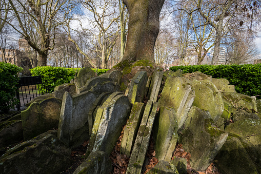Graves stacked at the base of a tree at St Pancras Old Church in Somers Town.