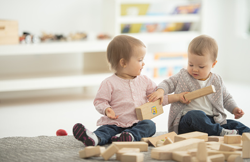 Two baby caucasian girls play with wooden blocks on a rug.