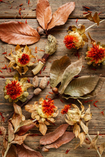 istock Autumn plant wood texture background 1266873730