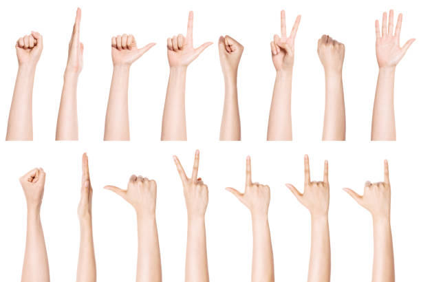 istock A set of woman hand gestures isolated on white. 1266873757