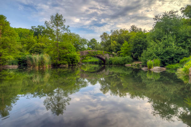 istock Gapstow Bridge in Central Park 1266876098