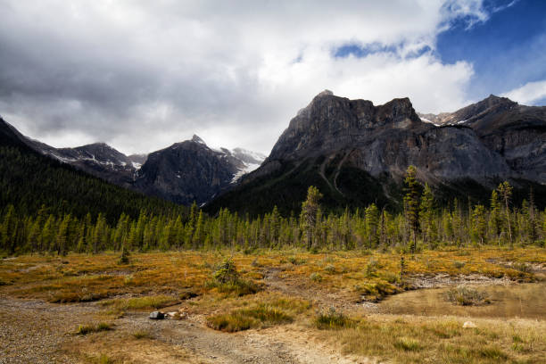 istock Emerald lake, Yoho National Park, BC, Canada 1266887531